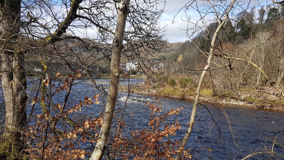 Slideshow 1 - Slide 6